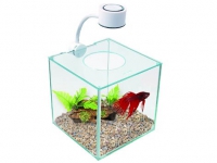 Marina Betta Kit Cubus 3,4l