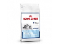 Royal Canin MAXI Starter