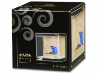 Marina Betta Kit Zen 2l