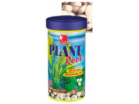 Dajana Plant Root