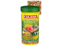 Dajana Iguana Adult
