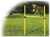 Set překážkový DF Agility 2