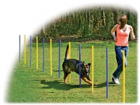 Slalom DF Agility
