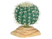 Rostlina kulatý kaktus jehelníček 10 cm