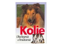 Kolie Dlouhosrstá a krátkosrstá - E.-M. Kramer