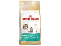 Royal Canin Kitten Maine Coon