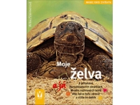 Želvy - Hartmut Wilke