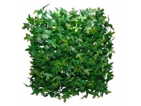 Pozadí Flora Mat - Ivy