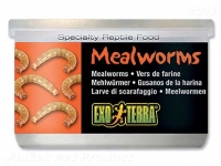 Exo Terra Červ moučný 34g