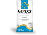 Genesis Puppy