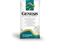 Genesis Performance