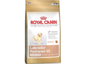 Royal Canin MAXI Labrador retrívr Junior