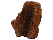 Zkamenělé dřevo 2,91kg