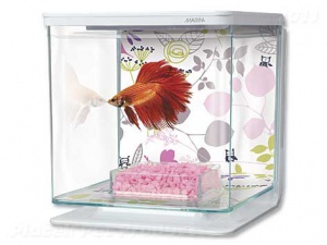 Akvárium MARINA Betta Kit Floral 2l