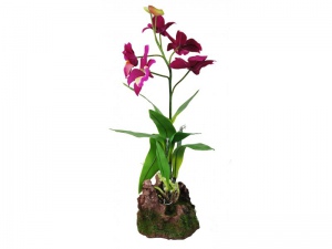 Kvetoucí orchidej - fialová cca 40cm