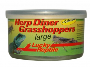 Herp Diner - sarančata XL 35g