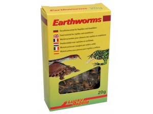 Lucky Reptile Earthworms 10g