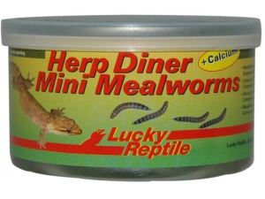 Herp Diner - mouční červi mini 35g