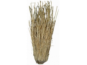 Lucky Reptile Grass Bushes 25-40 cm