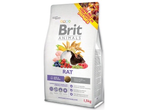 BRIT Animals Rat