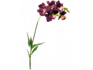 Orchidej Lila, cca 40 cm