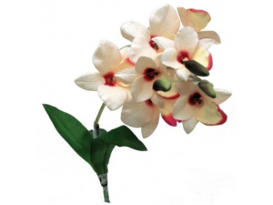 Orchidej bílá, cca 40 cm