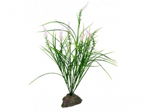 Mediterranian Grass, cca 40 cm