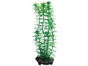 Rostlina TETRA Anacharis 15cm