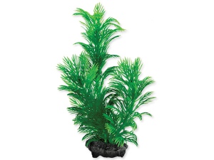 Rostlina TETRA Green Cabomba 15cm