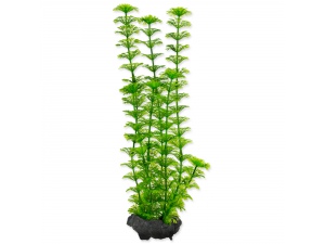 Rostlina TETRA Ambulia 15cm