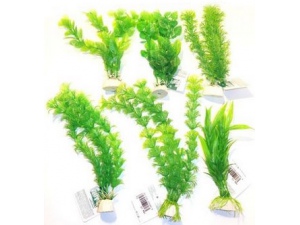 Tatrapet akvarijní rostlina 15-20cm mix 5ks zelená