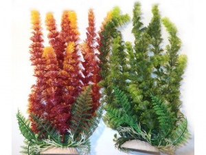 Tatrapet akvarijní rostlina Cabomba 22-25cm zelená a červená