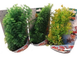 Tatrapet akvarijní rostlina na kartě 15-20cm 1x žlutá a 2x zelená