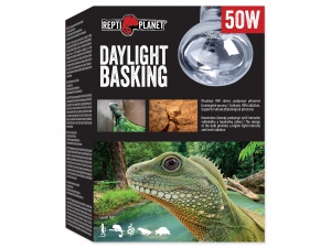 Žárovka REPTI PLANET Daylight Basking Spot 75W