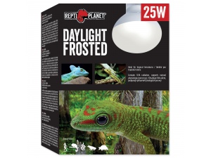 Žárovka REPTI PLANET Daylight Frosted 75W