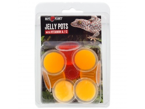 Krmivo REPTI PLANET Jelly Pots Fruit 8ks