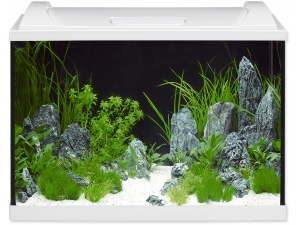 Akvárium set EHEIM Aquapro LED bílé 84l