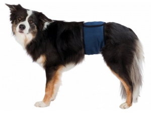 Břišní pás na podložky pro psa samce XL 65-75cm
