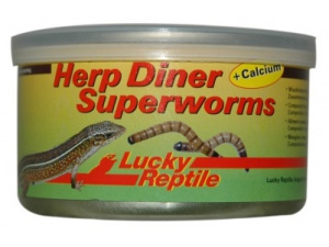 Herp Diner Superworms 35g