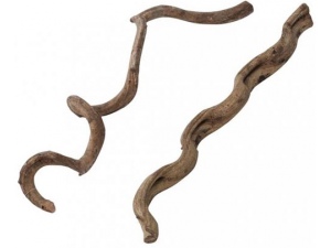 Dekorace přírodní - dřevo liána AquaDella 75cm (doprodej)