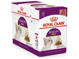 Royal Canin - Feline kaps. Sensory Smell gravy 85g