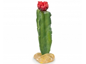 GiganTerra Umělý Kaktus Red