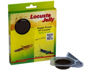 Lucky Reptile Locusta Jelly 4x 15g