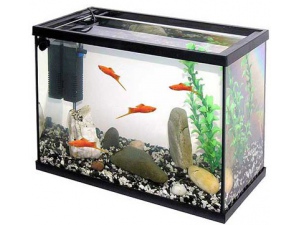 Akvarium set Pacific 15 l
