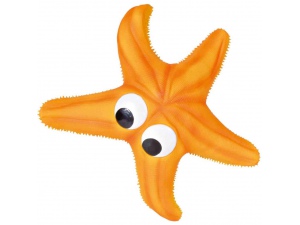 Hvězdice oranžová, latex 23 cm