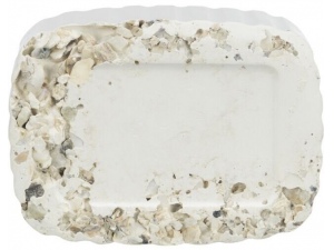 Klovací kámen s mořskými mušlemi, 200 g