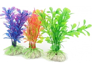 Tatrapet akvarijní rostlina 10 - 12 cm, 1x červená, 1x zelená, 1x fialová