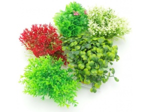 Tatrapet akvarijní rostlina 8-9 cm mix 5 ks červená, zelená, béžová