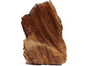 Zkamenělé dřevo 3,31kg