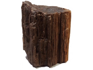 Zkamenělé dřevo 5,15kg